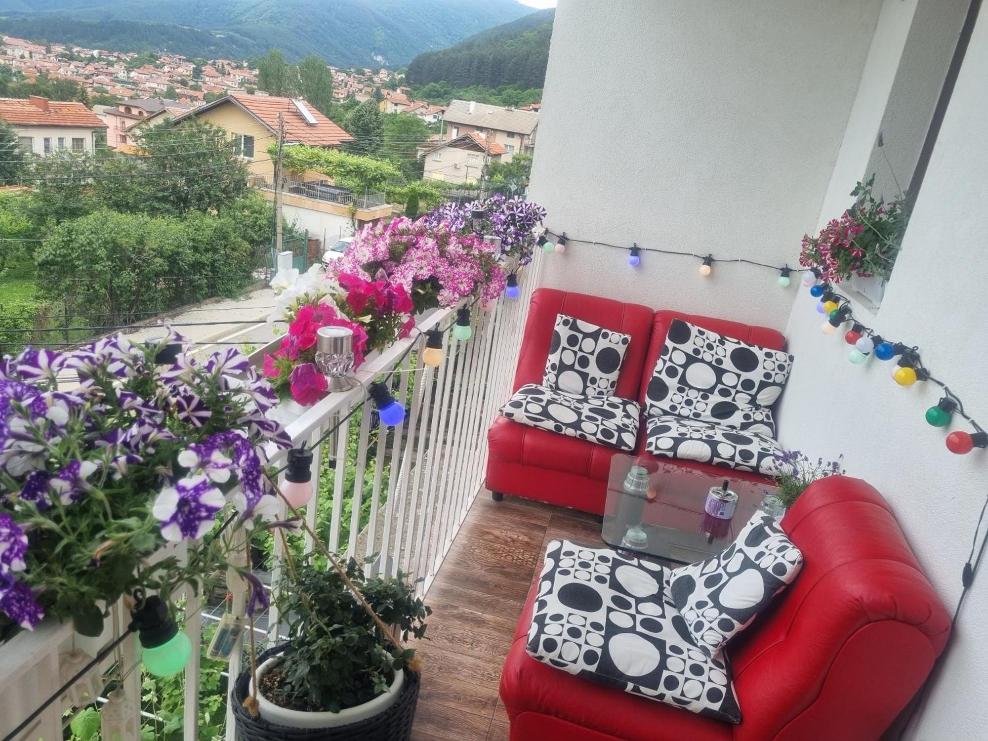 Guesthouse Jasmin Szapareva Banja Kültér fotó
