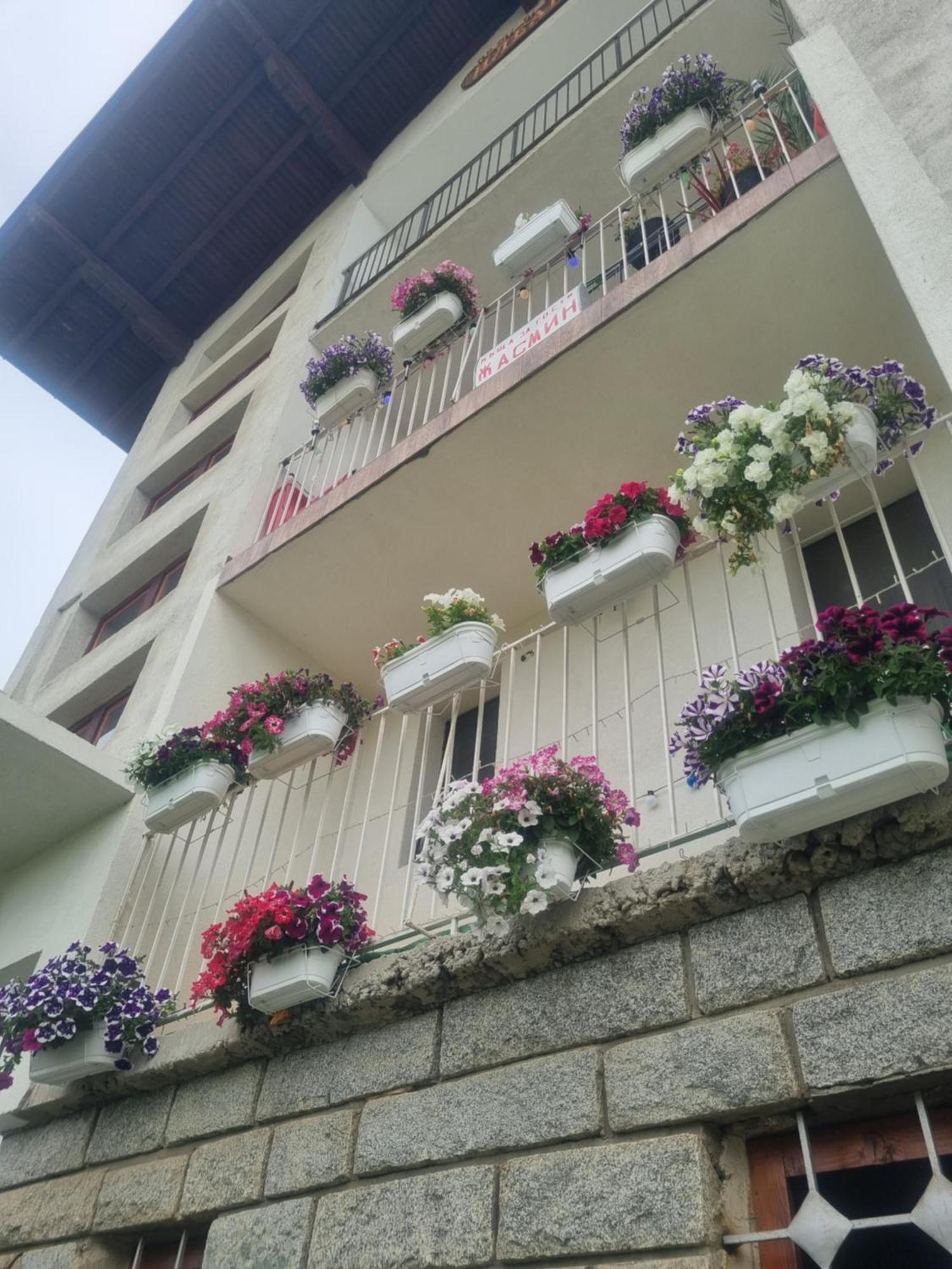 Guesthouse Jasmin Szapareva Banja Kültér fotó